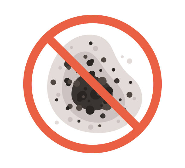 Best Mold Removal for HVAC Installations  in Azusa, CA