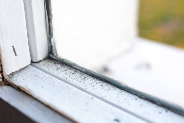 Asbestos and Lead Testing During Mold Inspection in Azusa, CA