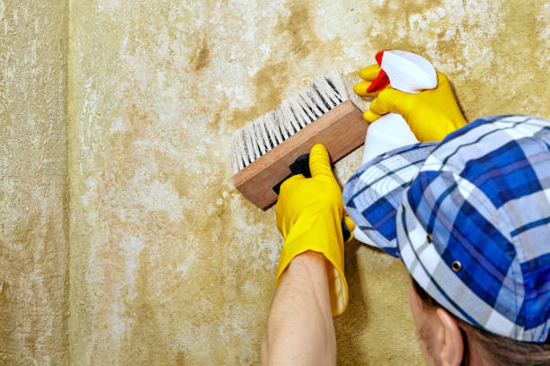 Best Indoor Air Quality Assessment  in Azusa, CA